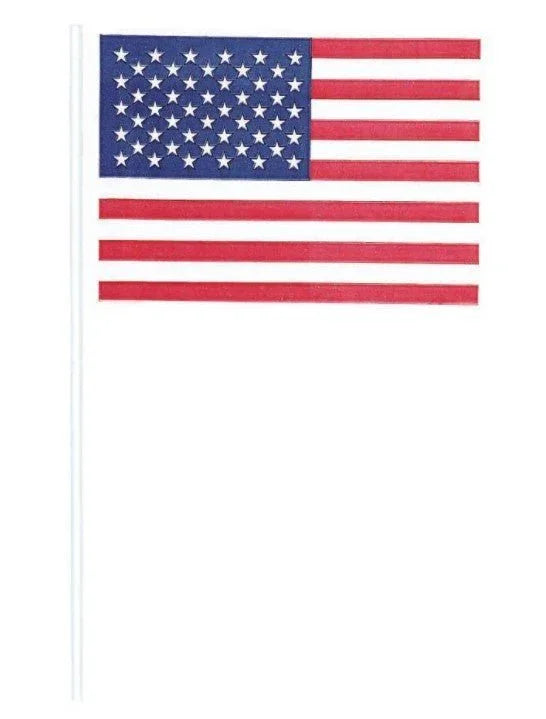 COTXDAG Mini American Flags - 12ct